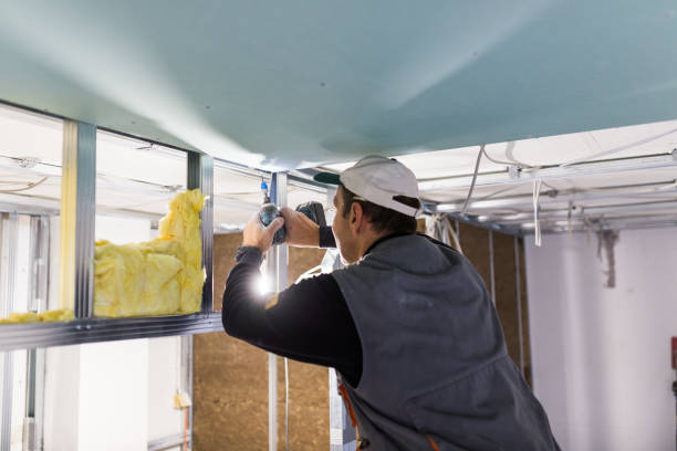 Best Insulation Replacement Services  in Lan, MI