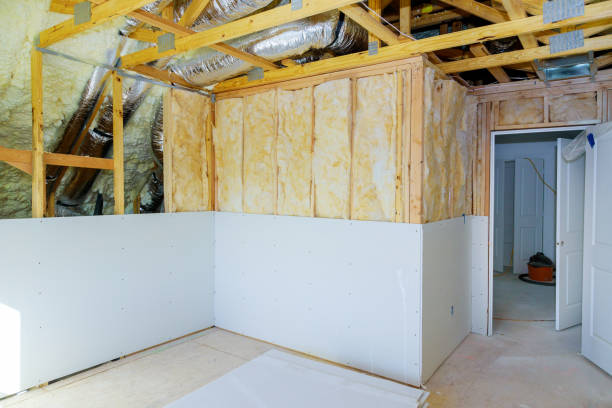 Best Garage Insulation Installation  in Lan, MI