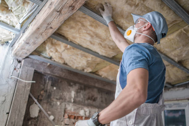 Best Professional Insulation Contractor  in Lan, MI