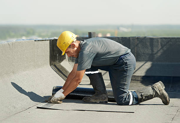 Best Cellulose Insulation  in Lan, MI