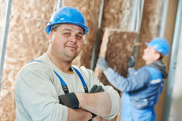 Best Local Insulation Services  in Lan, MI